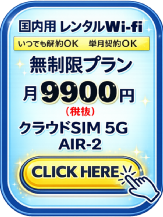 �����Ղ�M�KWi-fi �����^��Wi-fi �f�[�^�l�b�g���[�N�T�[�r�X���ƕ� �������@���ł����OK�@�Z���_��OK ���[�^�[�����@���������@